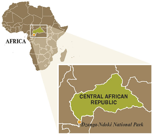 A map of Central African Republic