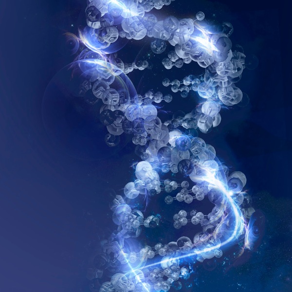 DNA’nın yapısı