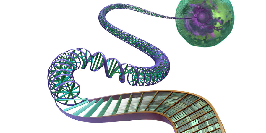 Bir hücrenin DNA’sındaki bilgi kütüphanede dizili kitaplara benzetilmiş