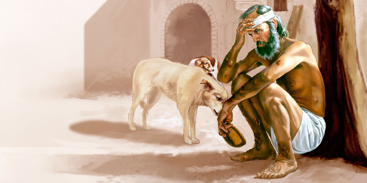 Bir köpek Lazar’ın yaralarını yalıyor