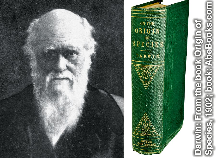 Charles Darwin ve Türlerin Kökeni adlı kitabı