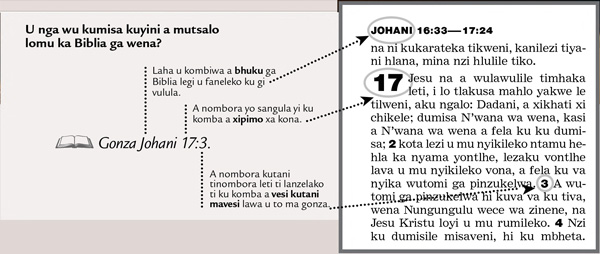 Xikombiso xa makumbukela ya mutsalo