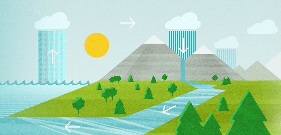 Kasi a vula yina, a kusangula ku laveka ku a madona ya mati ma kokelwa hehla, ma maha marefu, hi kona a vula yi nako