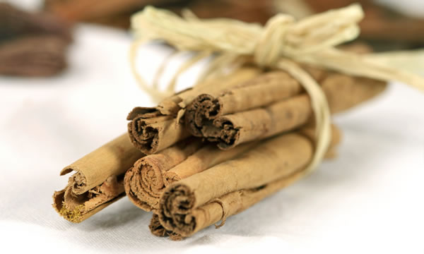 A bundle of cinnamon sticks