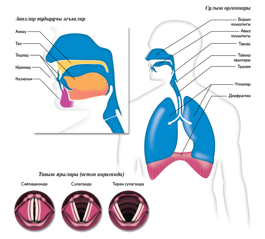 183 нче биттәге схемалар