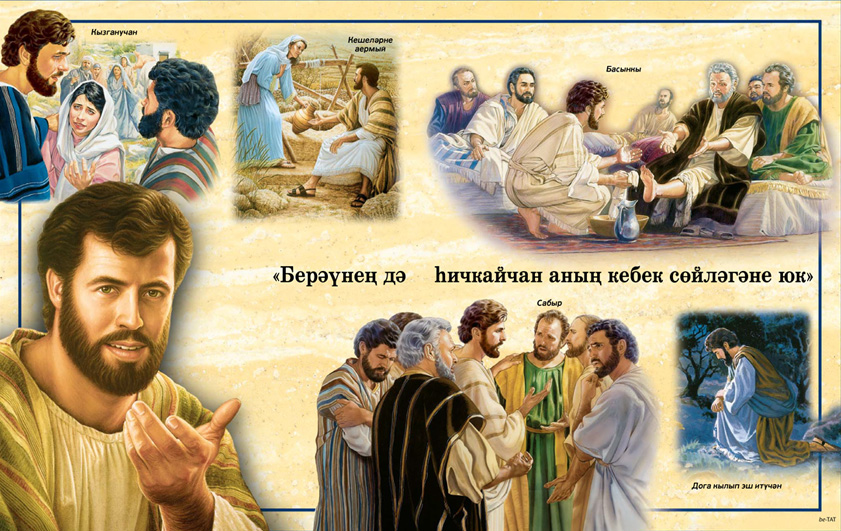 Тышлыкның арткы ягындагы иллюстрацияләр