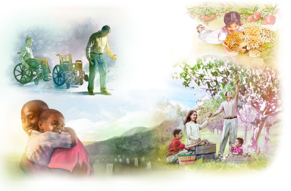 A wheelchair-bound man walks, a girl cuddles a leopard, a family picks fruit, people are reunited in the resurrection