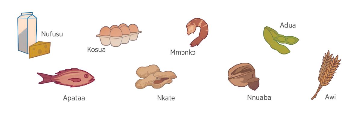 nufusu, kosua, apataa, mmɔnkɔ, nkate, adua, nnuaba, ne awi