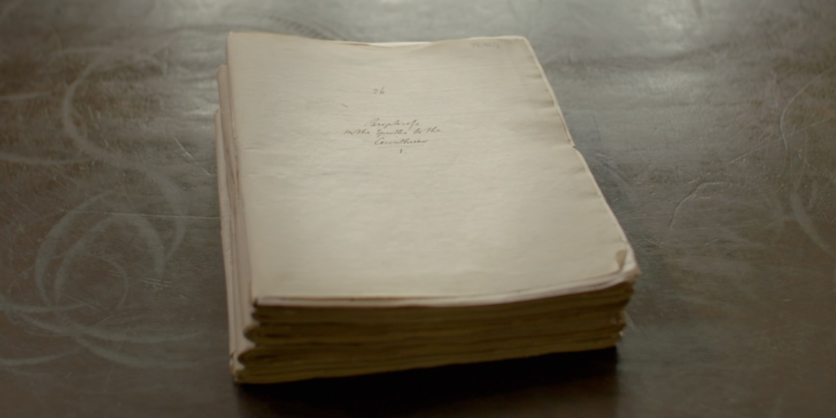 Obi kura foto bi wɔ ne nsam. Nnua bi a anyin frɔmfrɔm na ɛwɔ so. Wohwɛ akyi hɔ a, wubehu nnua bi a awu a ahaban baako koraa nni so.