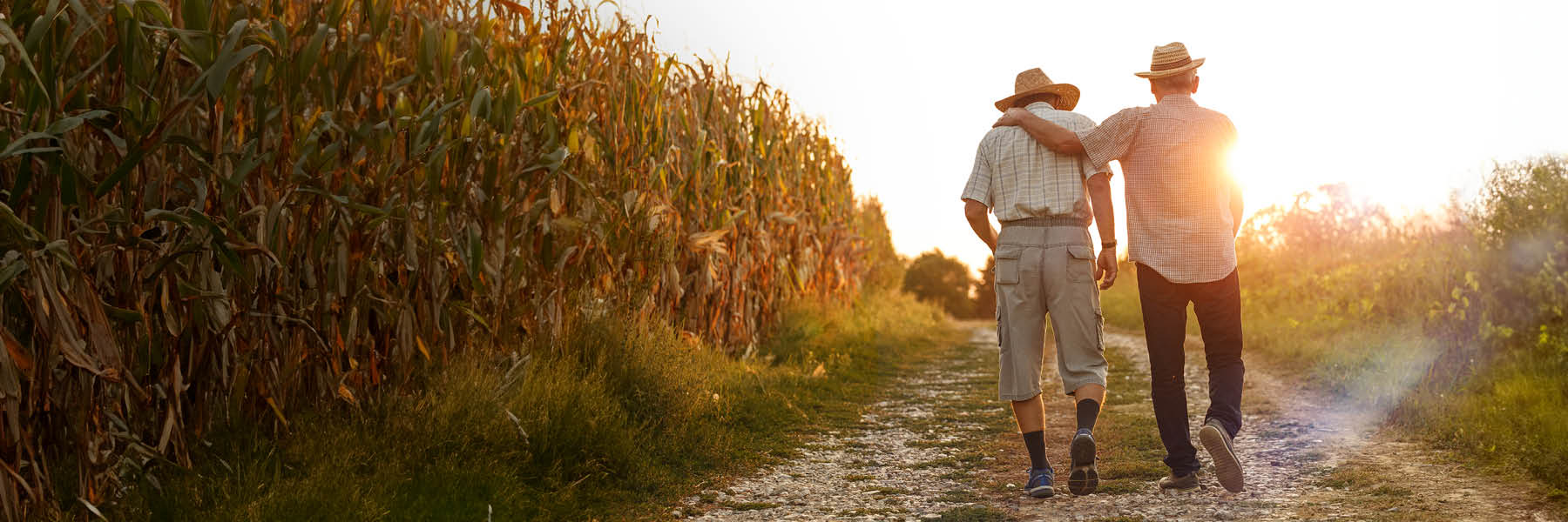 Asaase ayɛ paradise. Nnipa bebree abom reyɛ adwuma; wɔn ani agye.