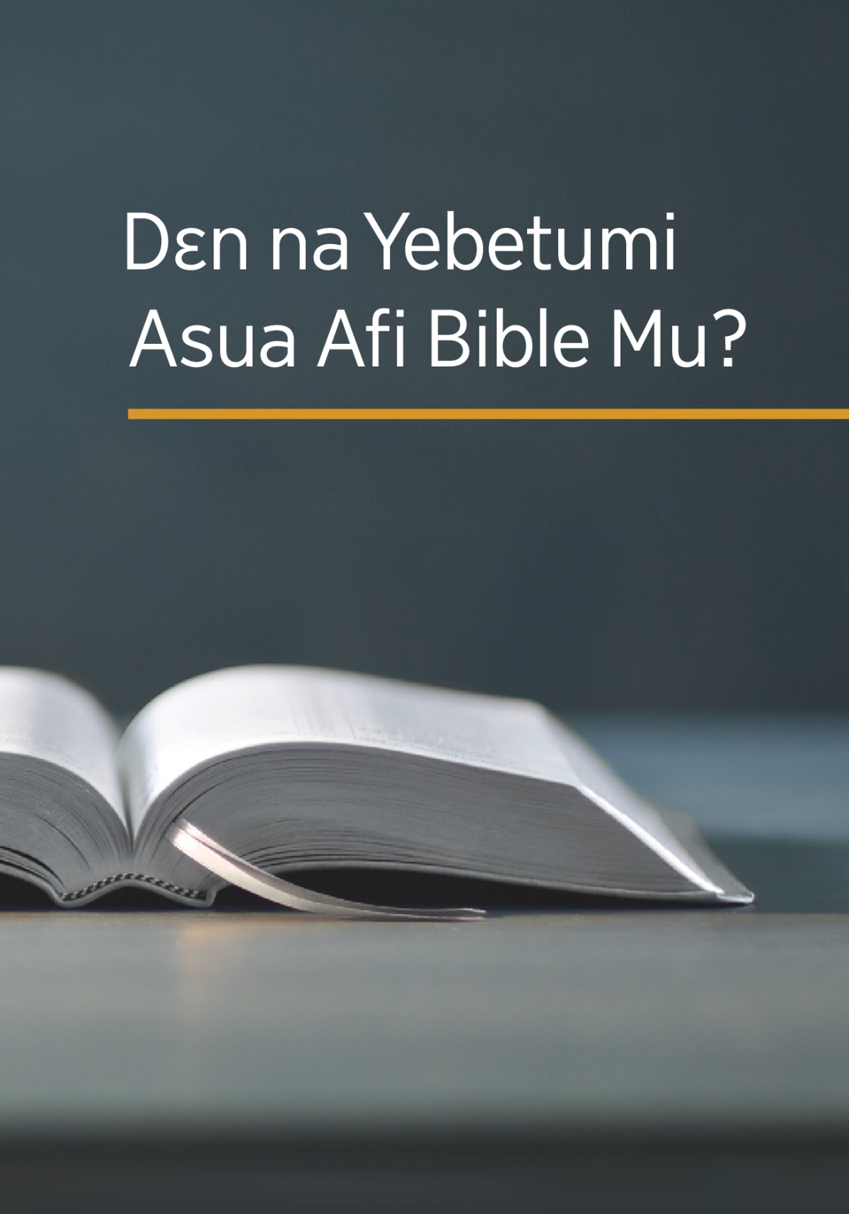 ‘Dɛn na Yebetumi Asua Afi Bible Mu?’ nhoma no.