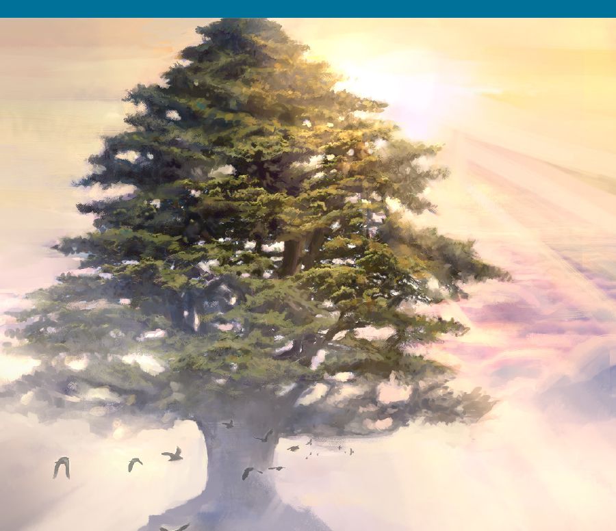 Nnomaa atu nenam sida dua kɛse bi ho.