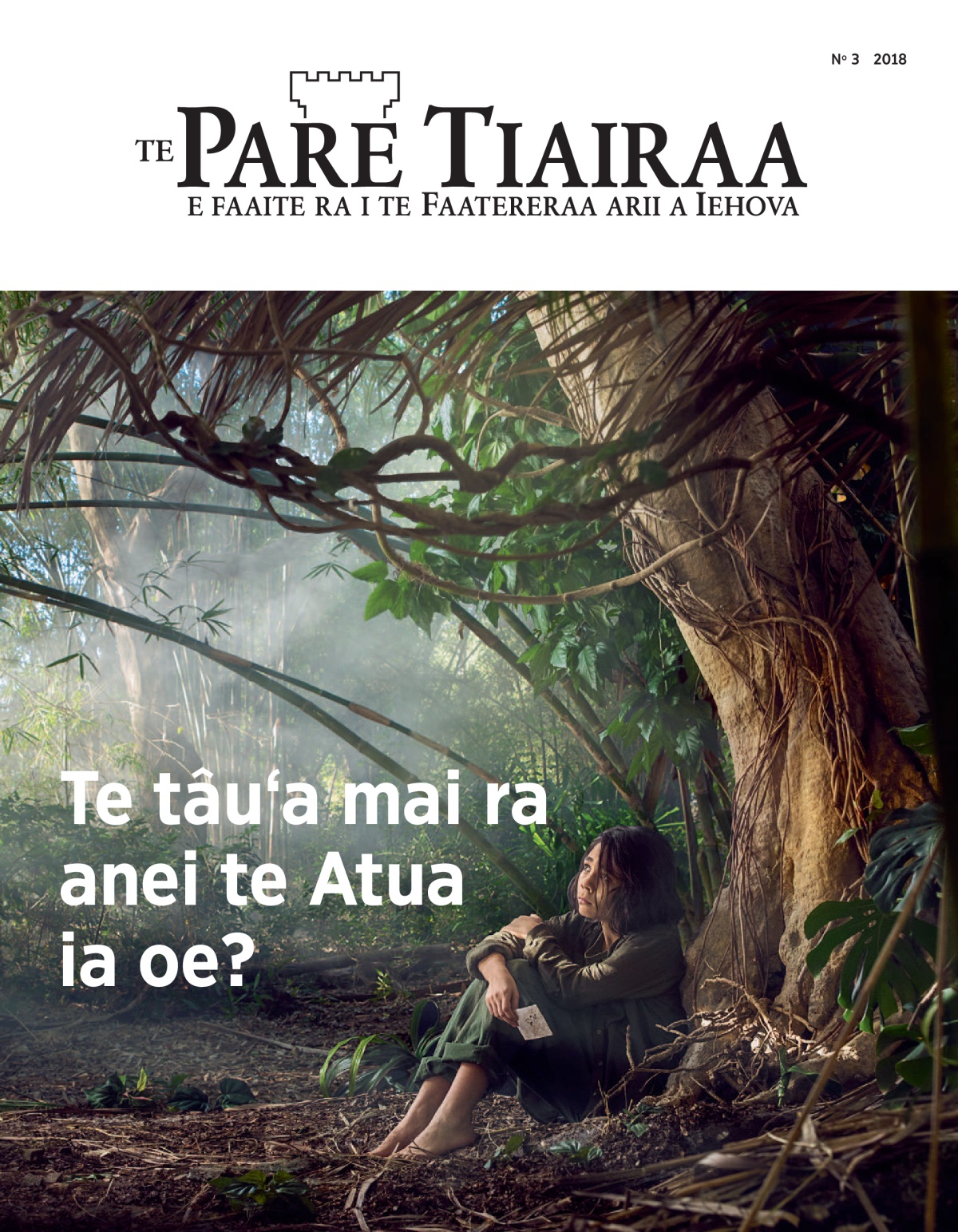 ‘Te Pare Tiairaa’ No 3 2018.