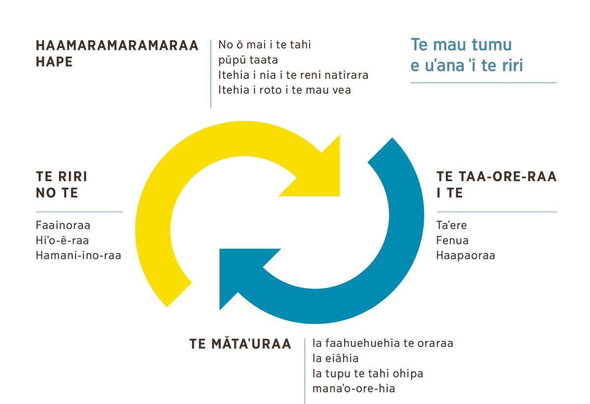 Te hoê hohoˈa e faaite ra e piti teˈa e ohu ra, te faahohoˈa ra te reira i te mau huru riri atoa. 1. Te haamaramaramaraa hape no ǒ mai i te tahi pǔpǔ taata, itehia i nia i te reni natirara e i roto i te mau vea. 2. Te taa-ore-raa i te tahi taˈere, fenua e haapaoraa. 3. Te mǎtaˈuraa ia faahuehuehia te oraraa, ia eiâhia aore ra ia tupu te tahi ohipa manaˈo-ore-hia. 4. Te riri no te faainoraa, te hiˈo-ê-raa e te hamani-ino-raa.