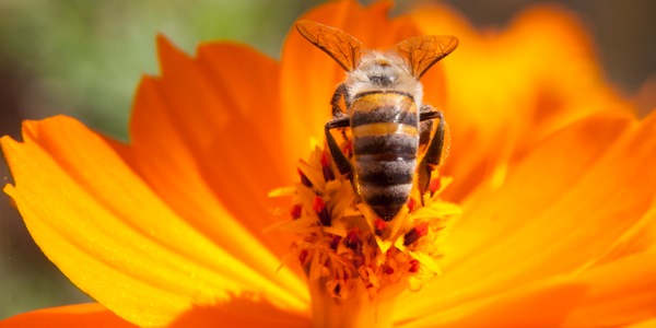 [Ілюстрація на сторінці 6]