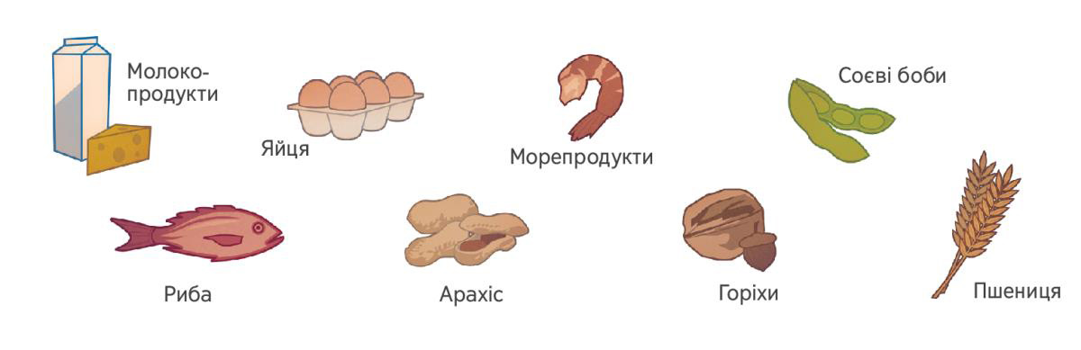 Молоко, яйця, морепродукти, соєві боби, риба, арахіс, горіхи і пшениця