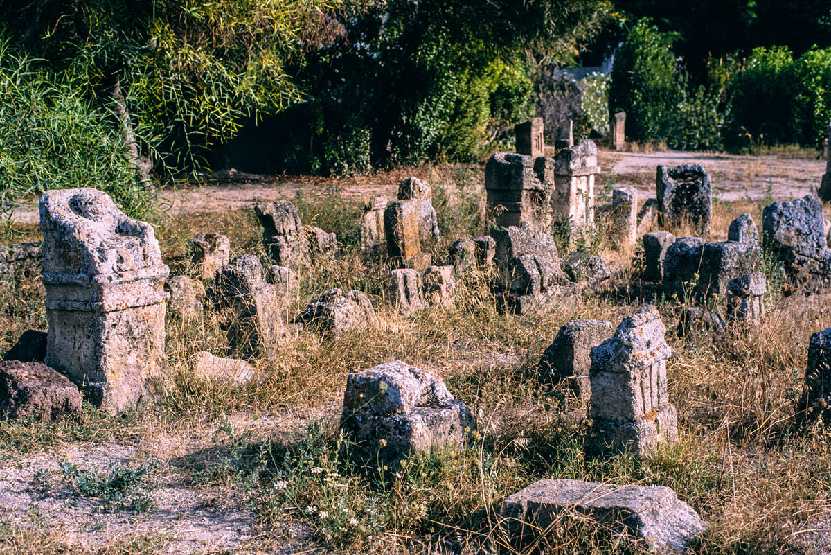 [Ілюстрація]