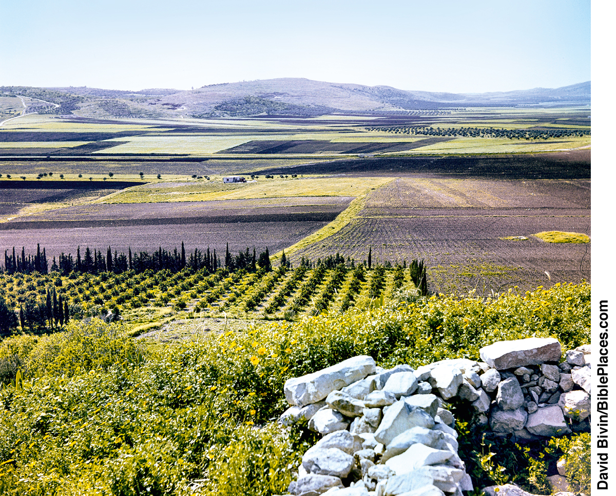 [Ілюстрація]