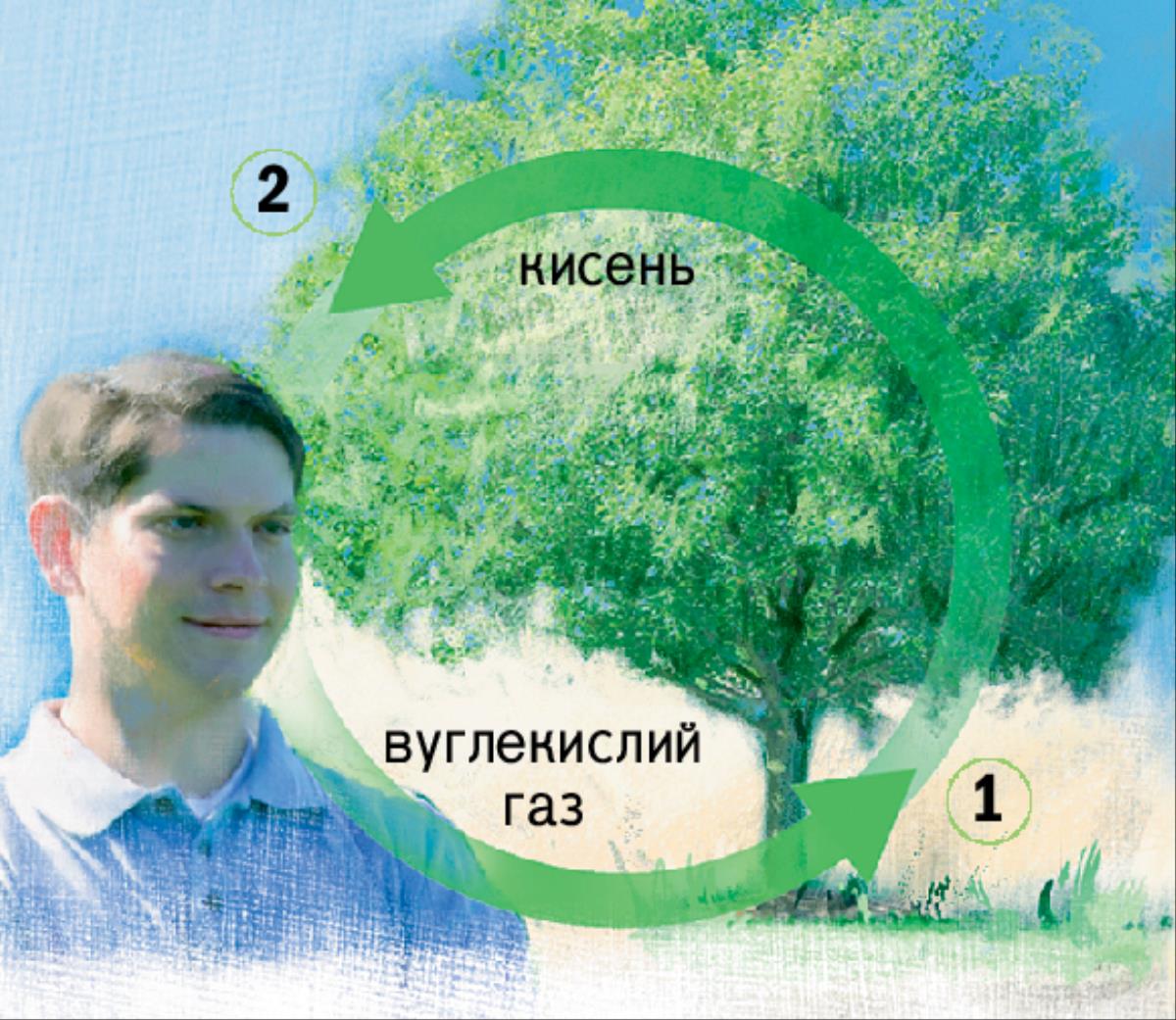 Кругообіг вуглекислого газу і кисню