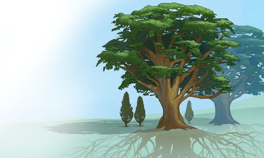 Oviti vinene vi kuete olombombo viapama vi eca ulembo koviti vitito