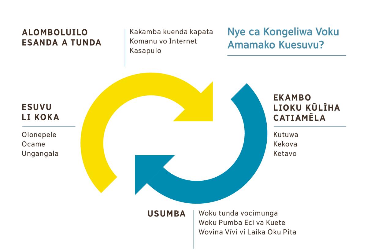 Ociluvialuvia ci lekisa ovisongo vivali vi ñuala ñuala kolonele via liyekala vi situlula ovina via siata oku koka esuvu. 1. Alomboluilo esanda a tunda, kakamba kuenda kapata, komanu vo internet kuenda kasapulo. 2. Ekambo lioku kũlĩha catiamẽla, kutuwa, kekova kuenda ketavo. 3. Usumba, woku tunda vocimunga, woku pumba eci va kuete, wovina vĩvi vi laika oku pita.