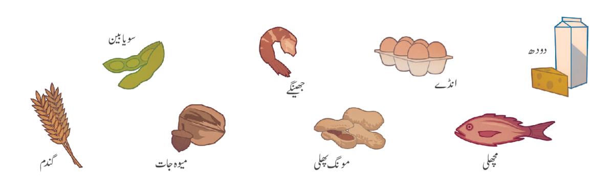دودھ، انڈے، جھینگے، سویابین، مچھلی، مونگ‌پھلی، میوہ‌جات، گندم
