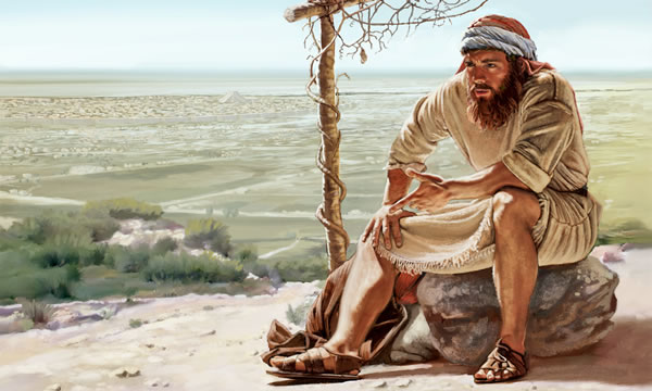 یُوناہ غصے سے کدو کی بیل کی طرف دیکھ رہے ہیں۔‏