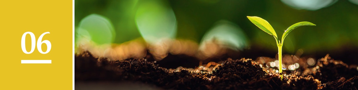 سبق نمبر 6.‏ زمین سے ایک پودا نکل رہا ہے۔‏