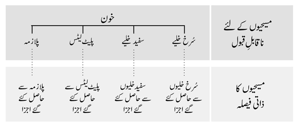صفحہ 216  پر چارٹ