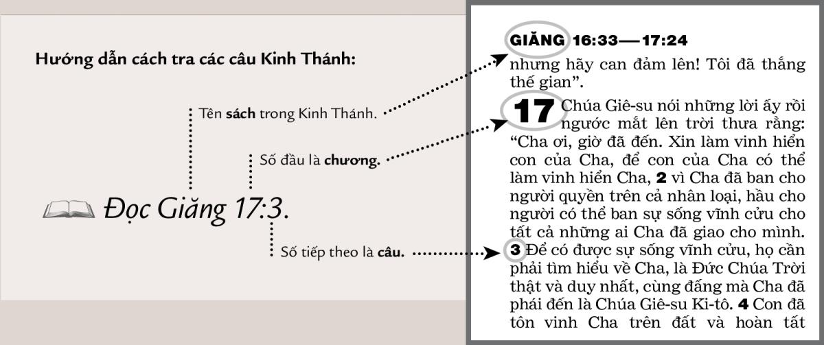 Hình câu Kinh Thánh mẫu