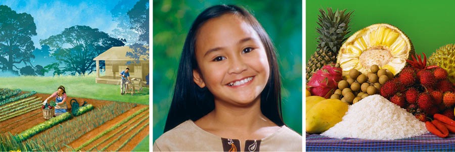 Một vườn rau; một em gái mỉm cười; nhiều loại thực phẩm