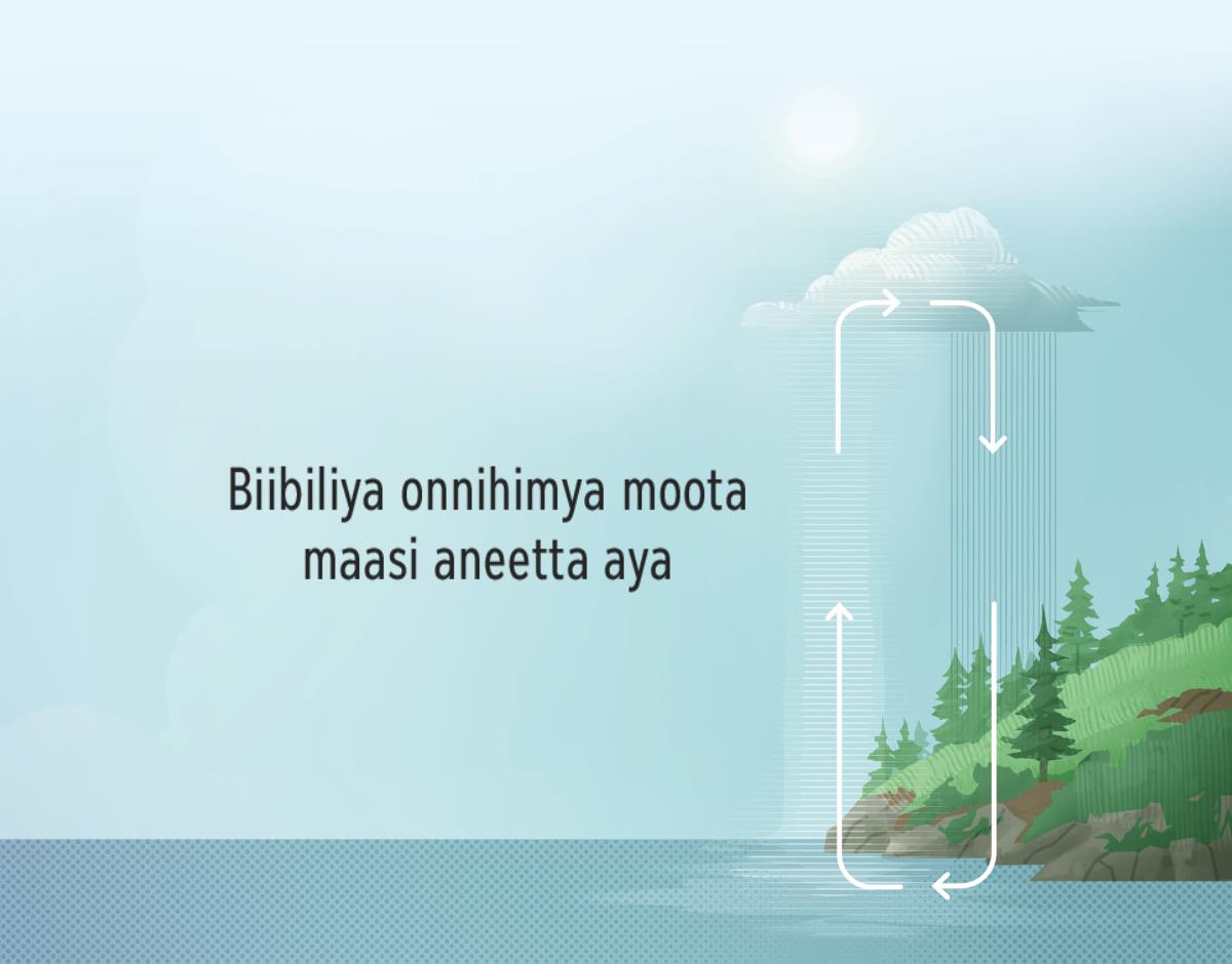 Biibiliya onnihimya moota maasi aneetta aya. Esiirkulu enooniherya moota maasi aneetta aya okhuma valaponi mpakha otthikela wiirimu.