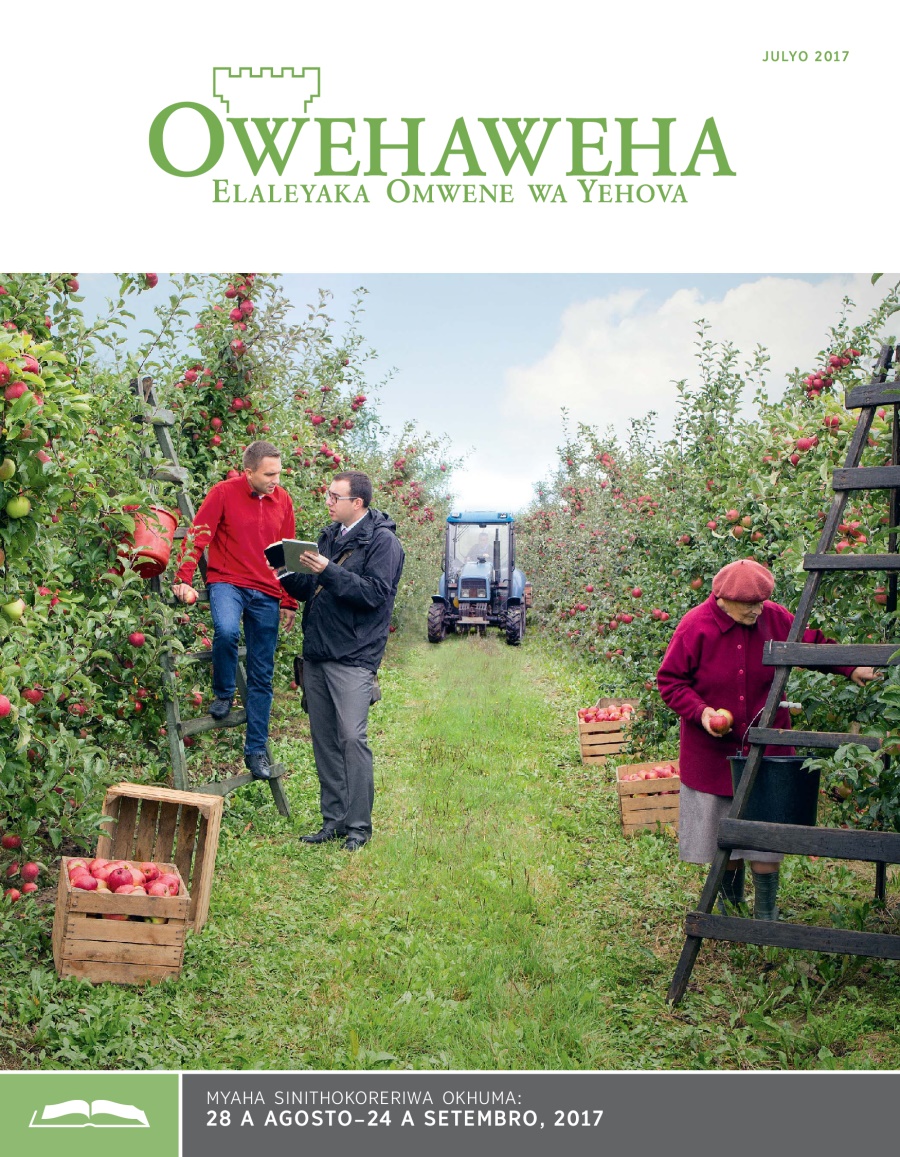 Owehaweha Onisommwa, Julyo 2017