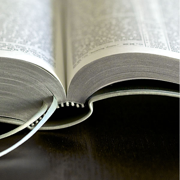 Muka depan Kitab Suci Terjemahan Dunia Baharu