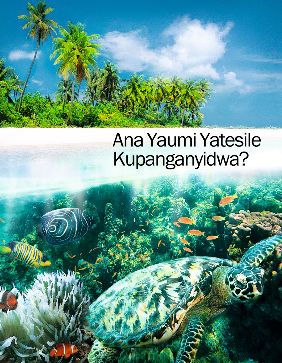 Ana Yaumi Yatesile Kupanganyidwa?