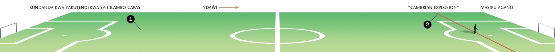 Msele wa ndaŵi welewu mpela luŵala lwa mpila wakulosya yayatendekwaga kundanda kwa cilambo capasi mpaka mu ndaŵi jakusajikolanga kuti Cambrian explosion