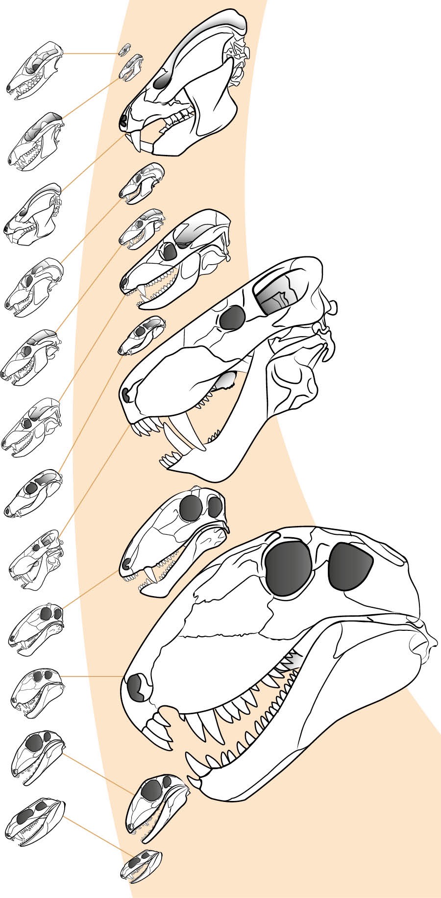 Yakuwukulidwa yayawile kalakala yakusayilosya m’mabuku gane akusajambula mwakamulana ni kakonece kakwe