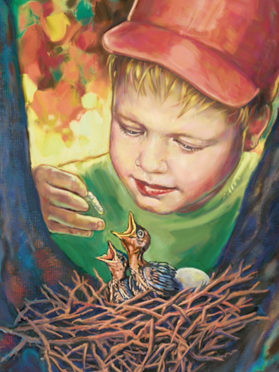 Ọmọkùnrin kan ń fún àwọn ọmọ ẹyẹ ní oúnjẹ