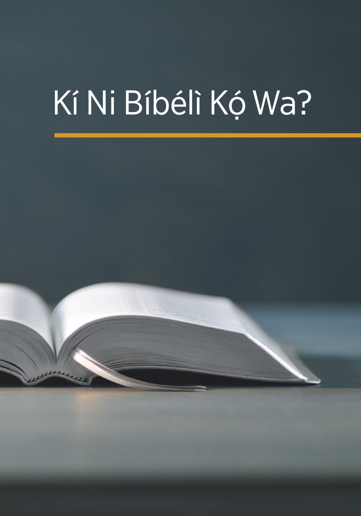 Ìwé ‘Kí Ni Bíbélì Kọ́ Wa?’