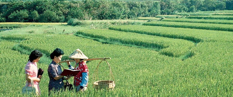 Àwọn Ẹlẹ́rìí Jèhófà ń wàásù fún obìnrin kan nínú oko ìrẹsì