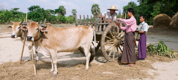 [Àwòrán tó wà ní ojú ìwé 78, 79]