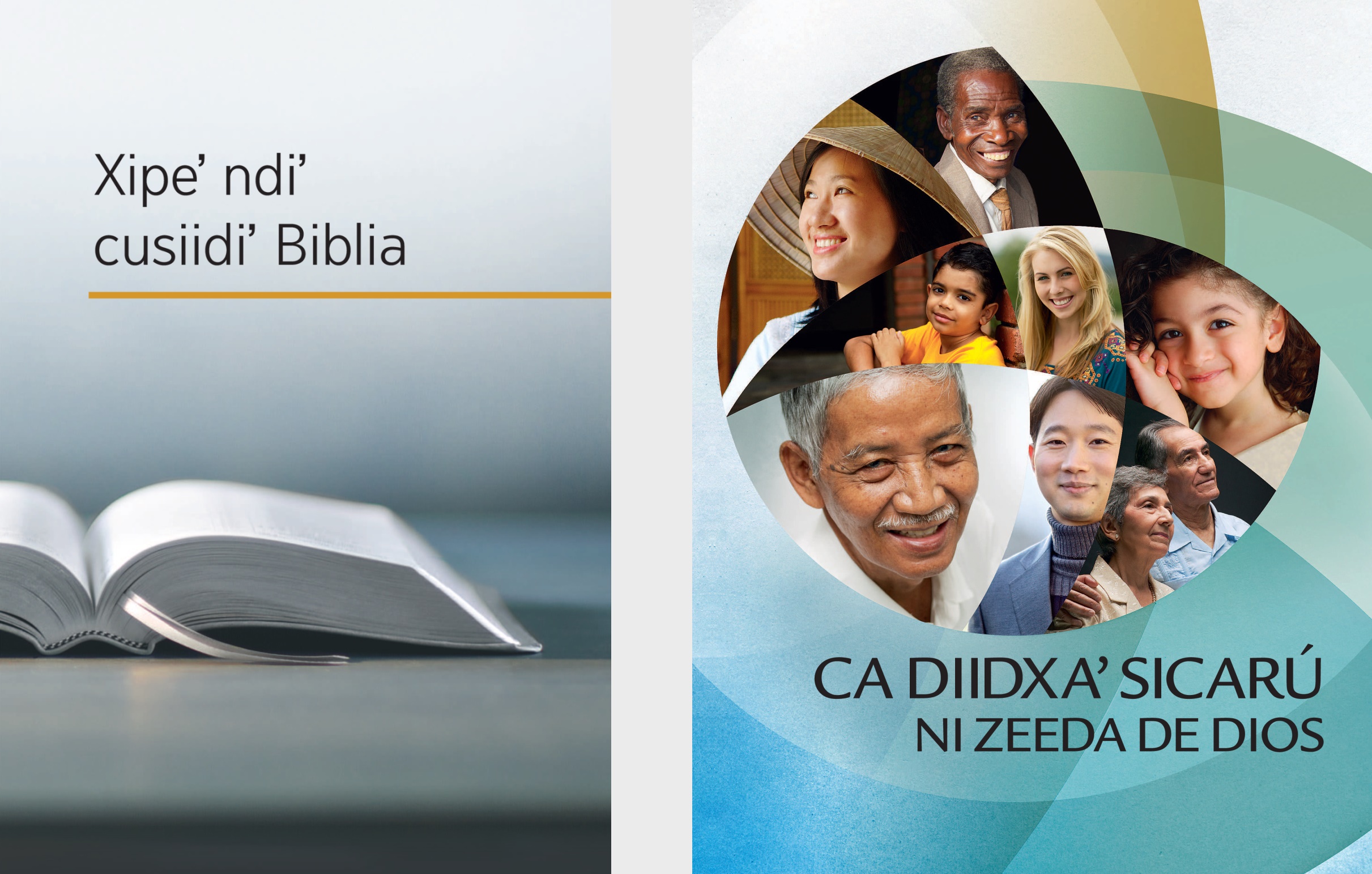 The book ‘What Can the Bible Teach Us?’ and the brochure ‘Good News From God!’