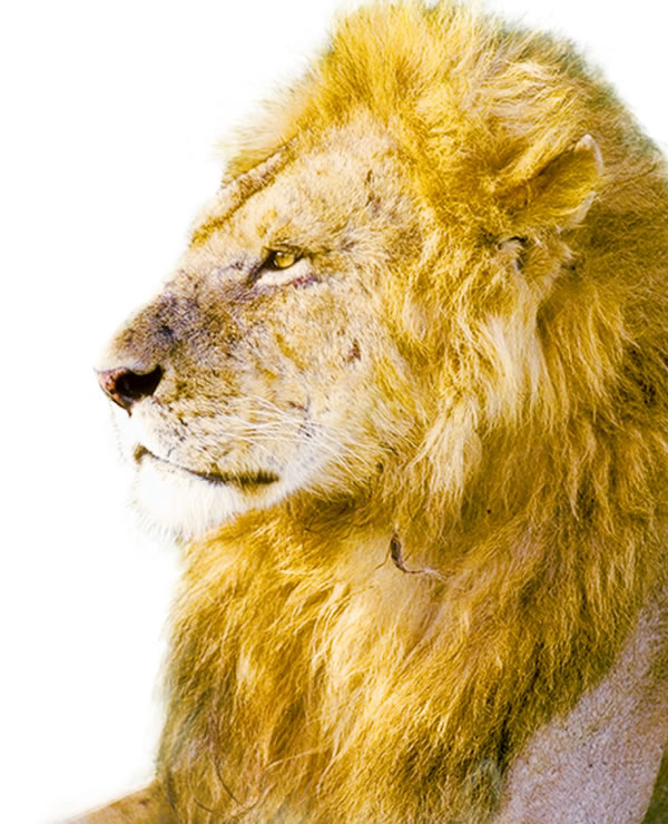 Isithombe ekhasini 165