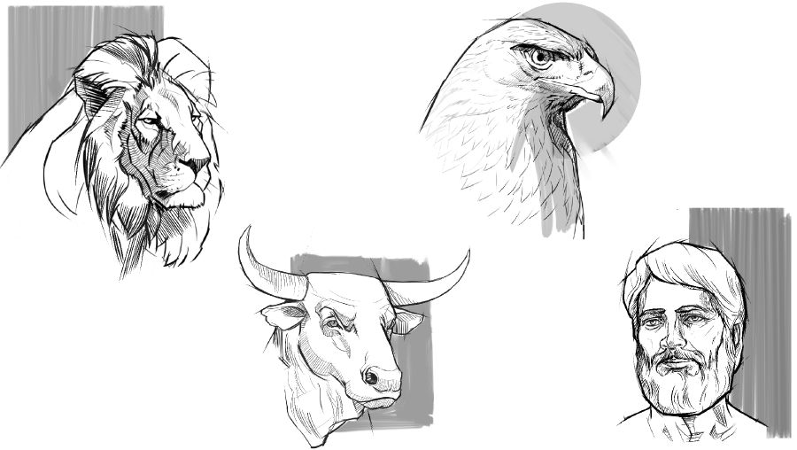 Ibhubesi, inkunzi, ukhozi, umuntu