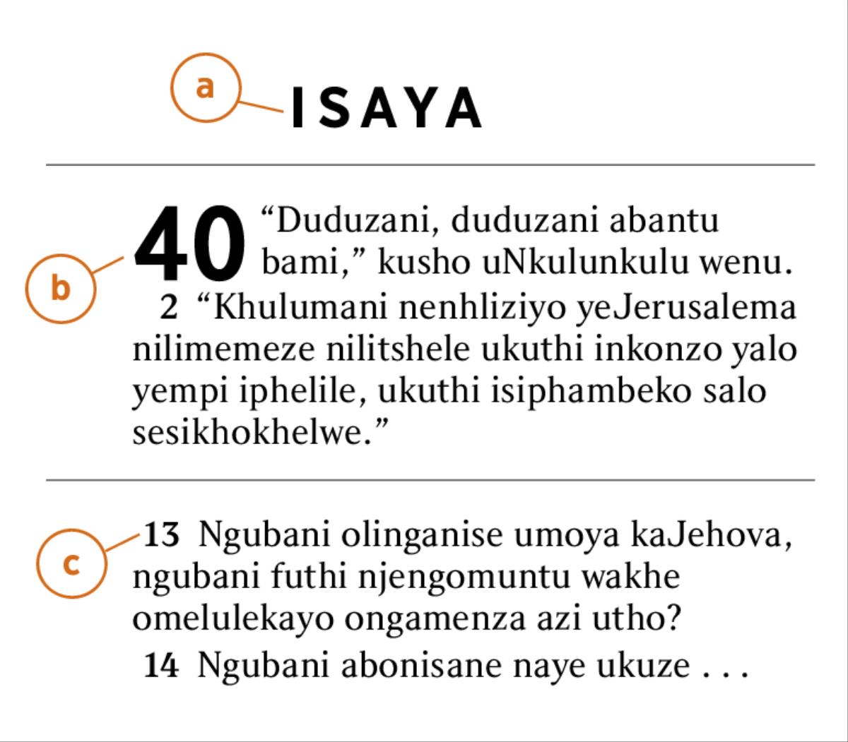 Amavesi eBhayibheli asisiza sibone a) igama lencwadi yeBhayibheli, b) isahluko c) nevesi